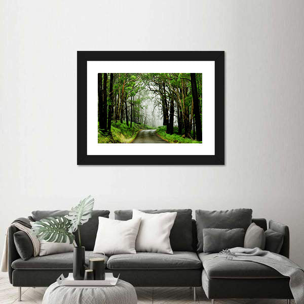 Forest Road With Fog Canvas Wall Art