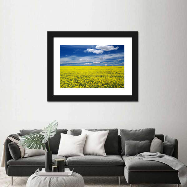 Golden Canola Field Canvas Wall Art