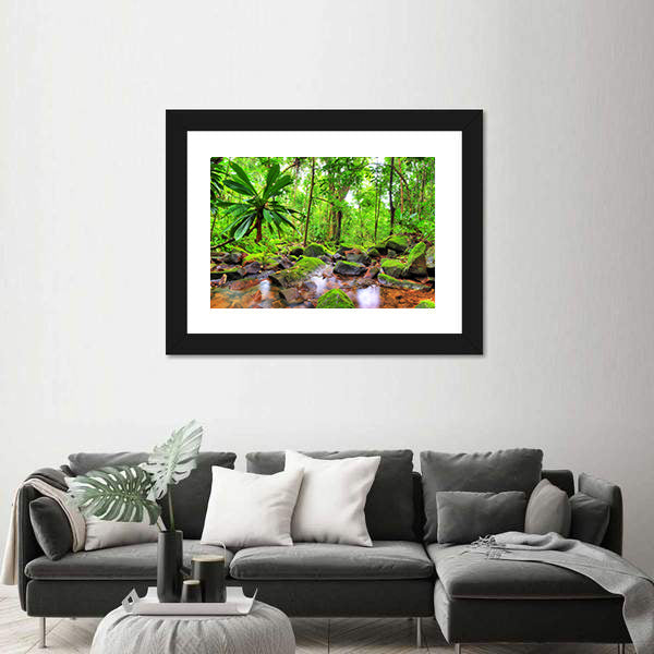 Masoala National Park in Madagascar Canvas Wall Art