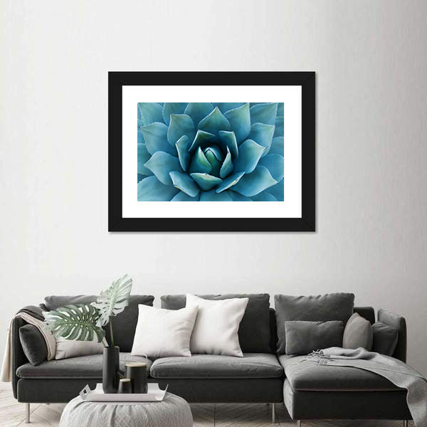 Closeup Of An Agave Plant Canvas Wall Art