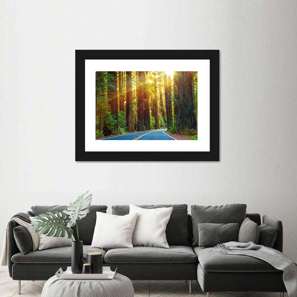 Redwood Highway In Northern California Canvas Wall Art