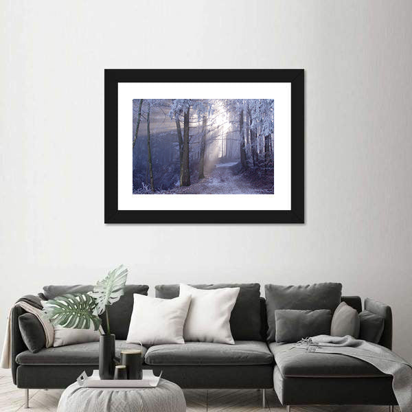 Mystic Forest Track Canvas Wall Art