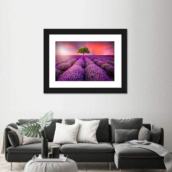 Lavender Field At Sunset Canvas Wall Art