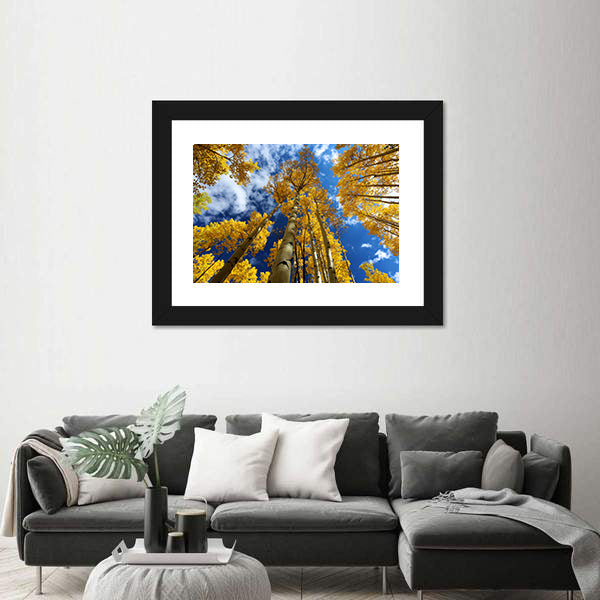 Golden Autumn Aspen Canopy Canvas Wall Art