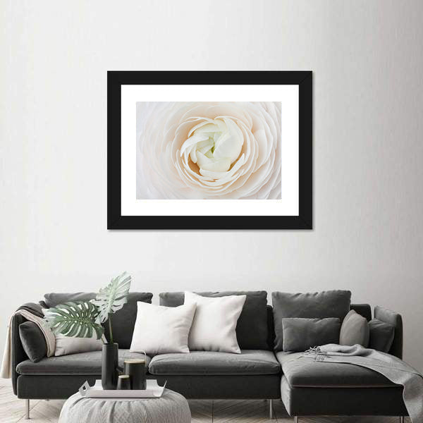 Closeup of Ranunculus Flower Canvas Wall Art