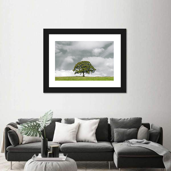 Summer Oak on Grassy Hill Canvas Wall Art