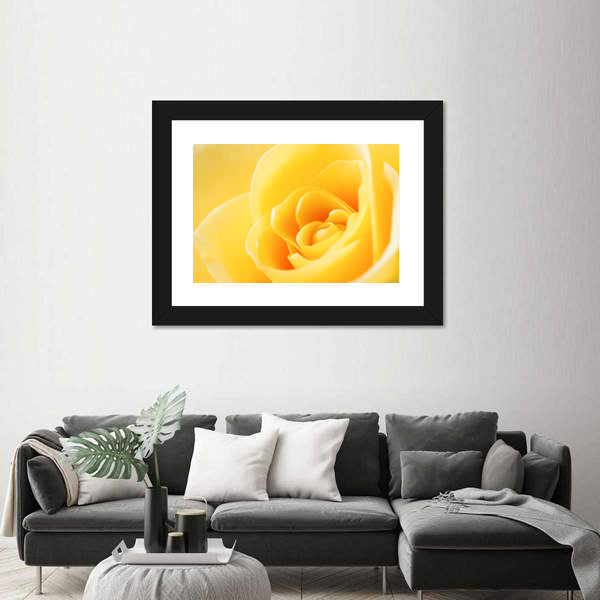 Yellow Rose Close-Up Canvas Wall Art