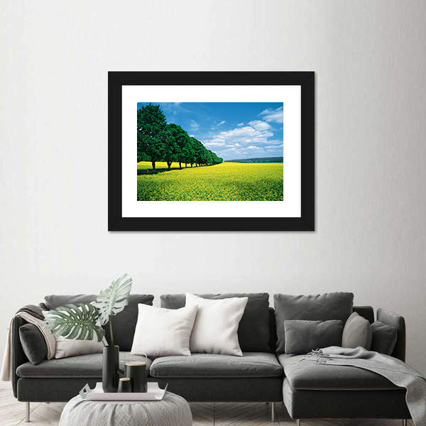 Spring Fields And Allee In Summer Canvas Wall Art