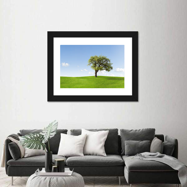 Solitary Tree on Sunny Green Hill Canvas Wall Art
