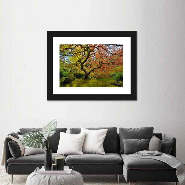 Gnarled Japanese Maple Tree in Portland Canvas Wall Art