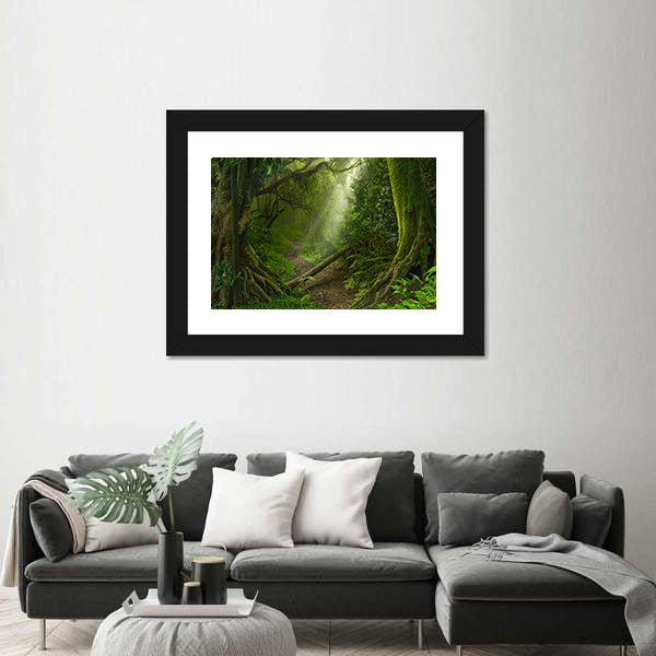 Asian Rain Forest With Sun Rays Canvas Wall Art