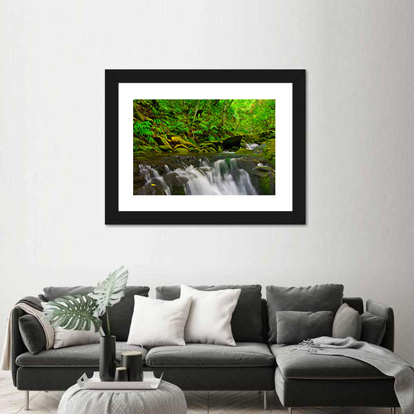 Stream Flowing Through Lush Jungle In Maui Hawaii Canvas Wall Art