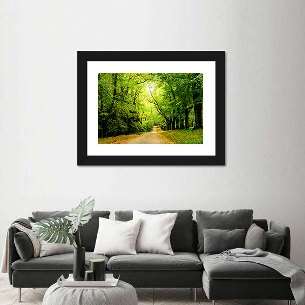 Path In The Forest Woods Canvas Wall Art
