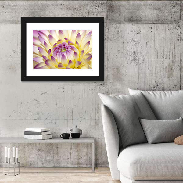 Macro Pink Flower Canvas Wall Art