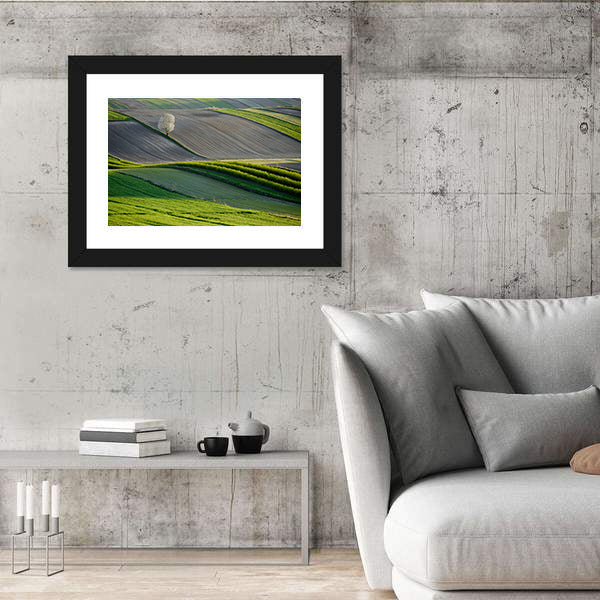 Wavy Fields In Poland Canvas Wall Art