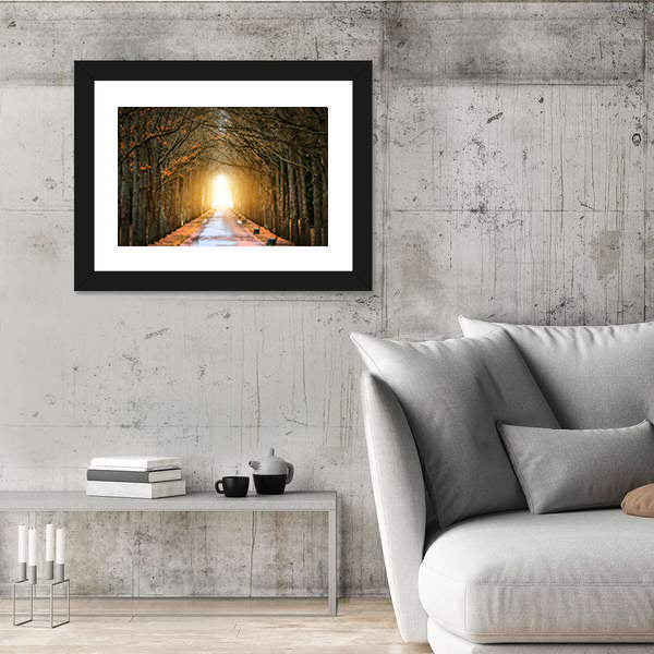 Autumn Tree Tunnel with Benches Canvas Wall Art