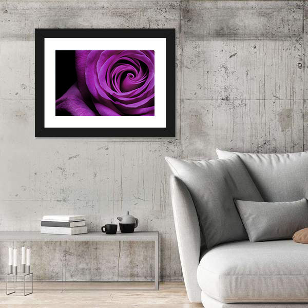 Purple Rose Close-Up Canvas Wall Art