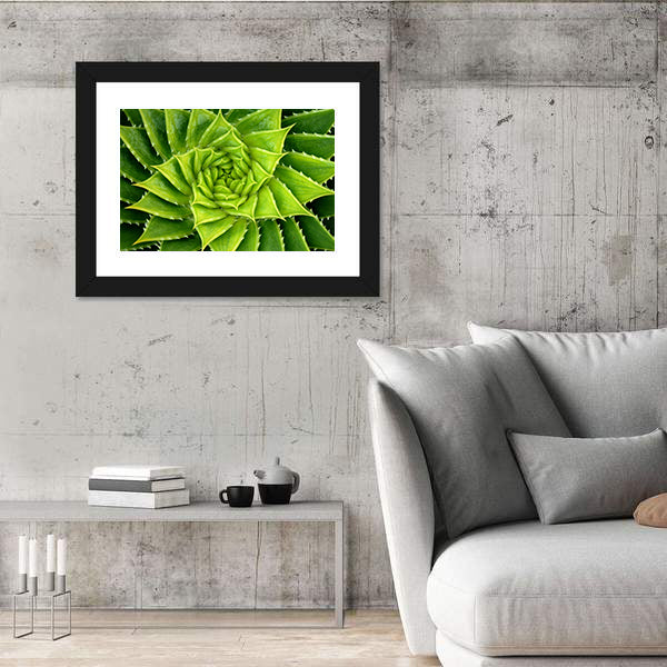 Vivid Green Spiral Aloe Plant Canvas Wall Art