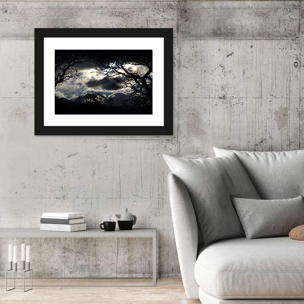 Silhouetted Trees Under Storm Clouds Canvas Wall Art