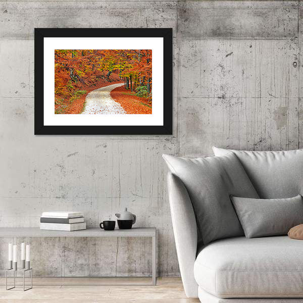 Autumn Misty Forest In Fall Canvas Wall Art