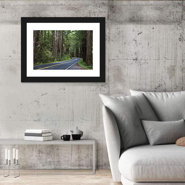 Redwoods Forest In California Canvas Wall Art