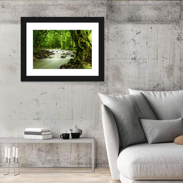 Tropical River At Selangor State In Malaysia Canvas Wall Art