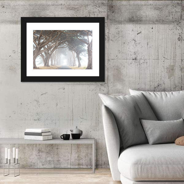 Misty Trees Alley In Foggy Weather Canvas Wall Art