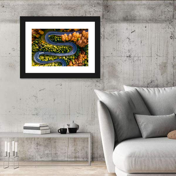Winding Forest Road From Top Canvas Wall Art