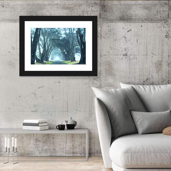 Misty Trees Alley In Foggy Weather Canvas Wall Art