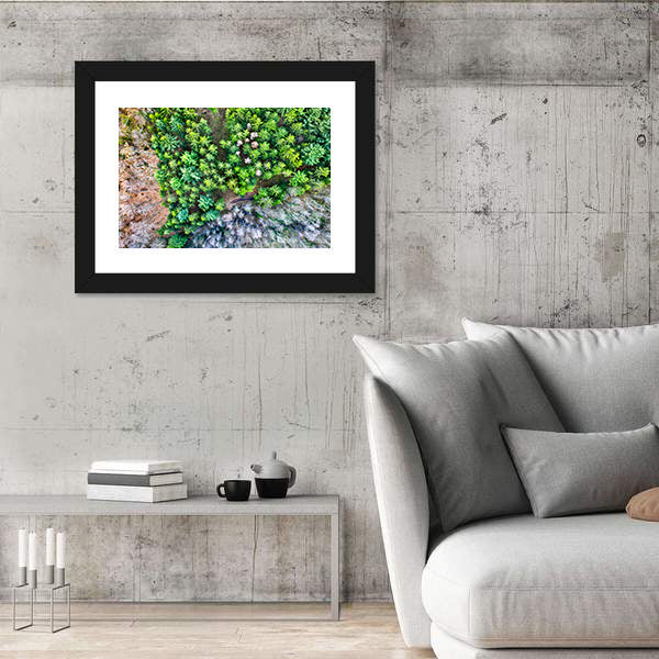 Aerial View Of Trees In The Vosges Mountains In Alsace France Canvas Wall Art