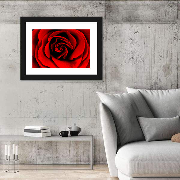 Closeup Of A Red Rose Canvas Wall Art