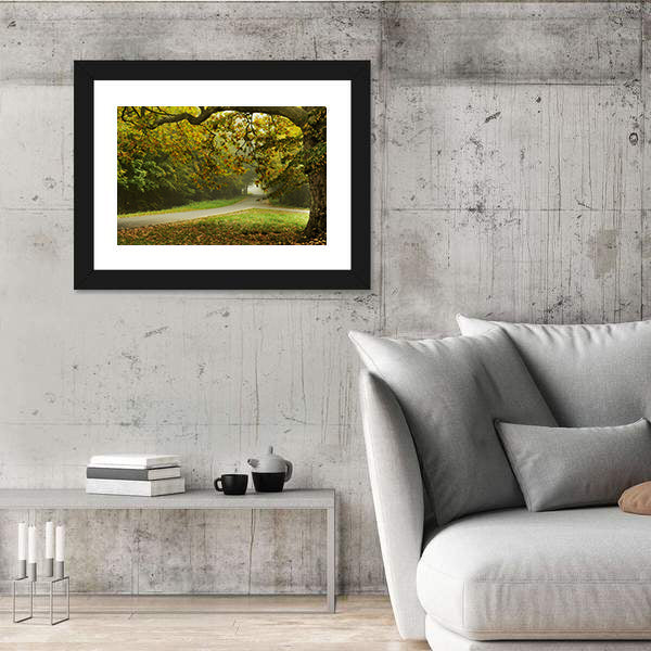 Misty Autumn Forked Path Canvas Wall Art