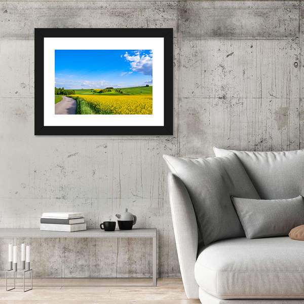 Oilseed field In Italian Countryside Canvas Wall Art