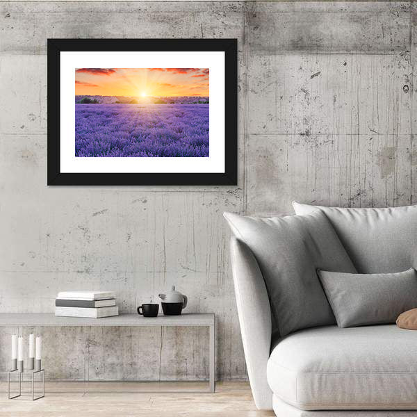 Lavender Fields At Sunset Canvas Wall Art