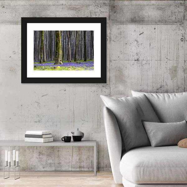 Springtime Bluebell Wood in England Canvas Wall Art