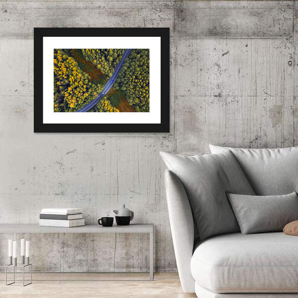 Travel Through Forest Canvas Wall Art