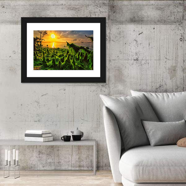Moss-covered Mangrove Roots at Sunset Canvas Wall Art