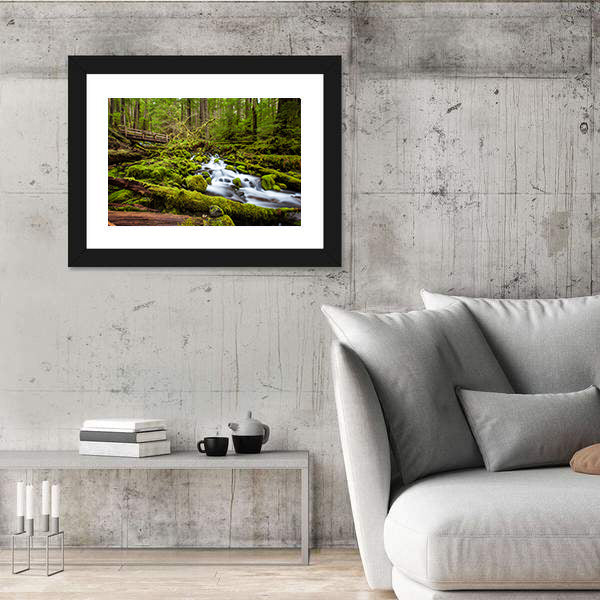 Sol Duc Falls Trail In Olympic National Park Canvas Wall Art