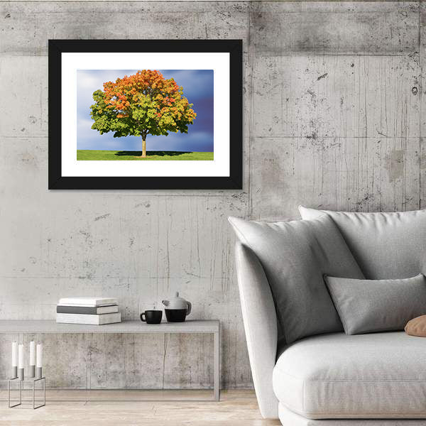 Maple Tree In Autumn Canvas Wall Art