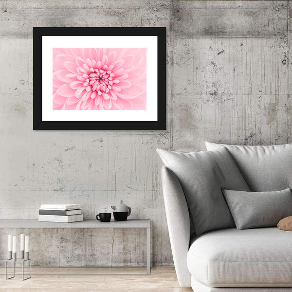 Pink Chrysanthemum Petals Canvas Wall Art