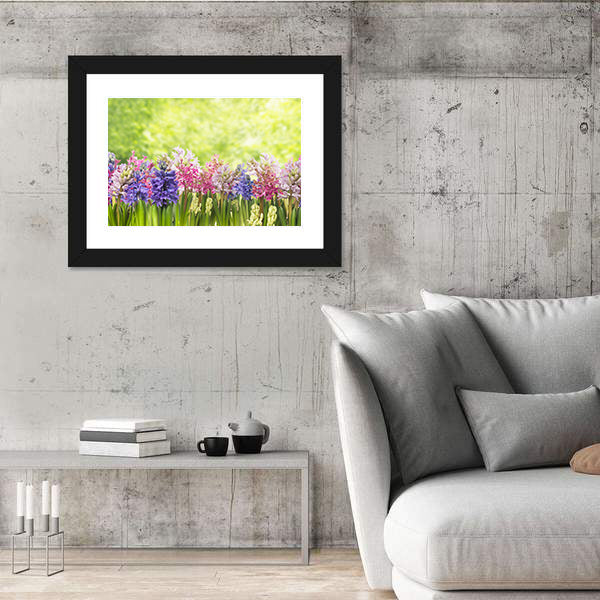 Blooming Spring Hyacinths Flowers Plant In Garden Canvas Wall Art