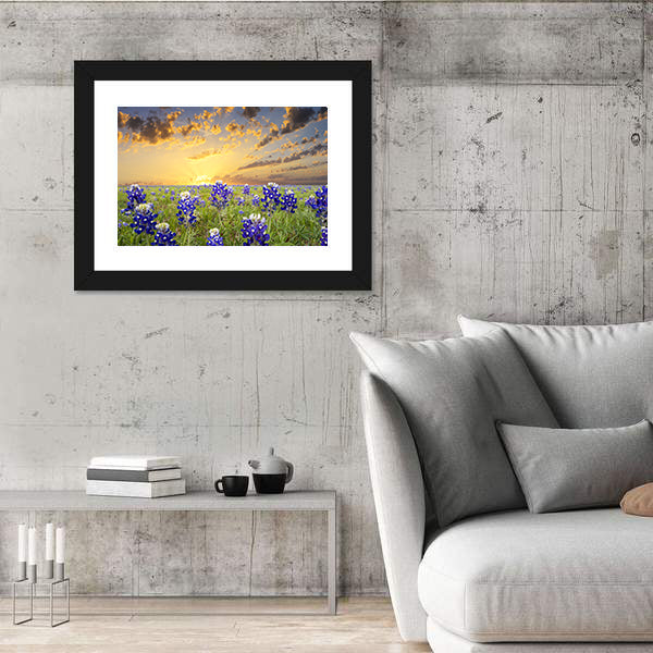 Bluebonnets In The Texas Hill County Canvas Wall Art