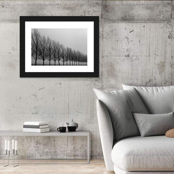 Autumn Trees in Mist Canvas Wall Art