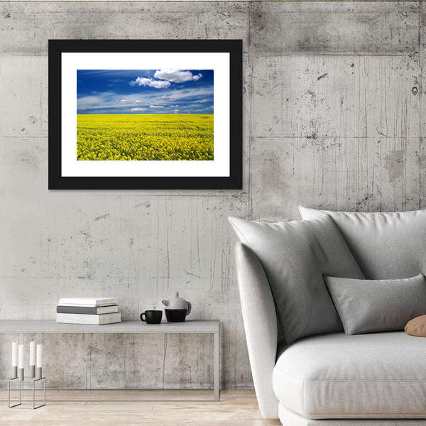 Golden Canola Field Canvas Wall Art