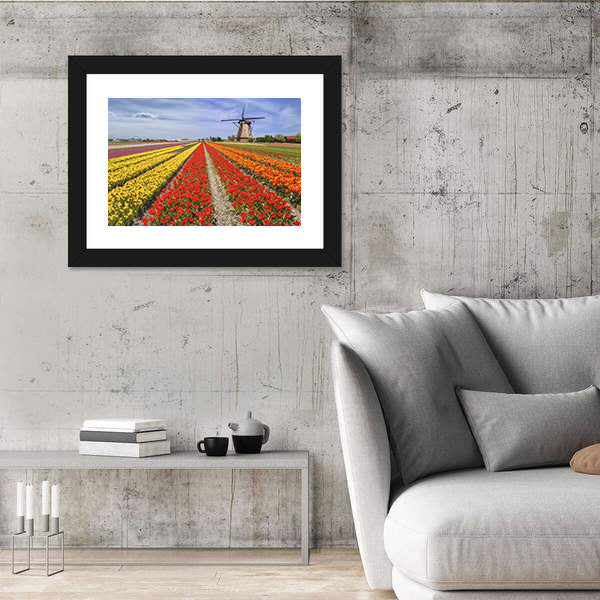 Colorful Dutch Tulip Fields with Windmill Canvas Wall Art