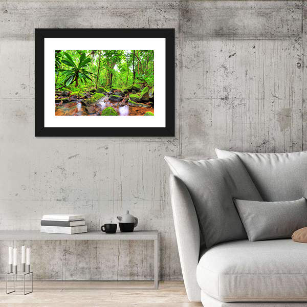 Masoala National Park in Madagascar Canvas Wall Art