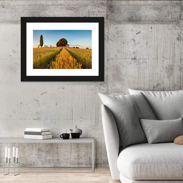 Summer Wheat Field at Golden Hour Canvas Wall Art