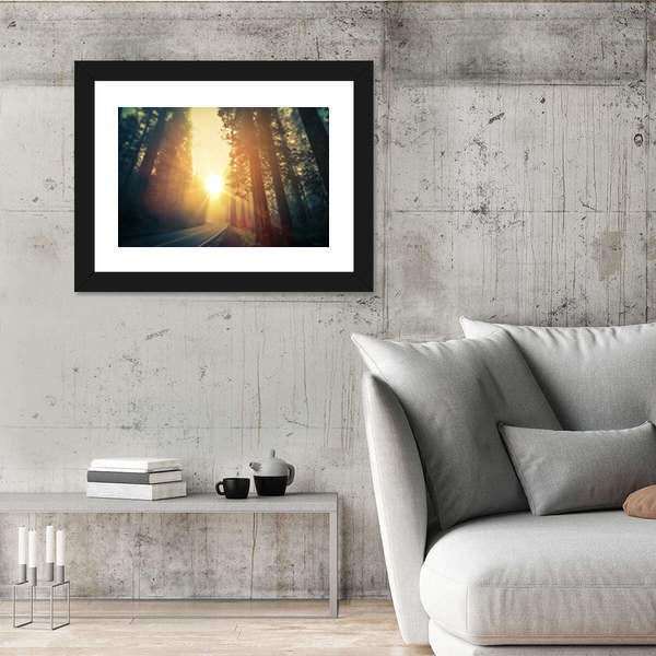 Foggy Redwood Forest Road Canvas Wall Art