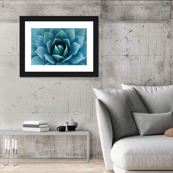 Closeup Of An Agave Plant Canvas Wall Art