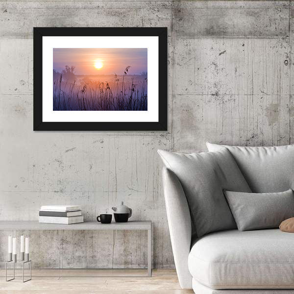 Shallow Depth Of Field At Sunset Canvas Wall Art